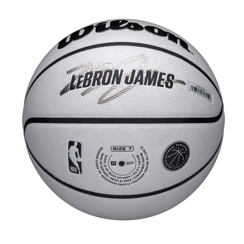 NBA PLAYER ICON UV BSKT LEBRON 7