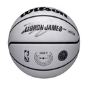 NBA PLAYER ICON UV BSKT LEBRON 7