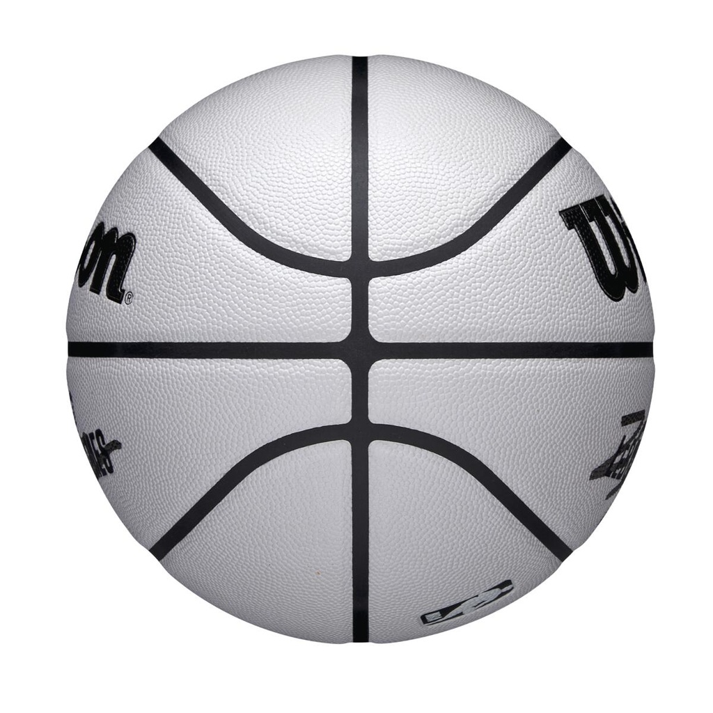 NBA PLAYER ICON UV BSKT LEBRON 7