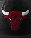 NBA TEAM PREMIERE BSKT CHI BULLS 7