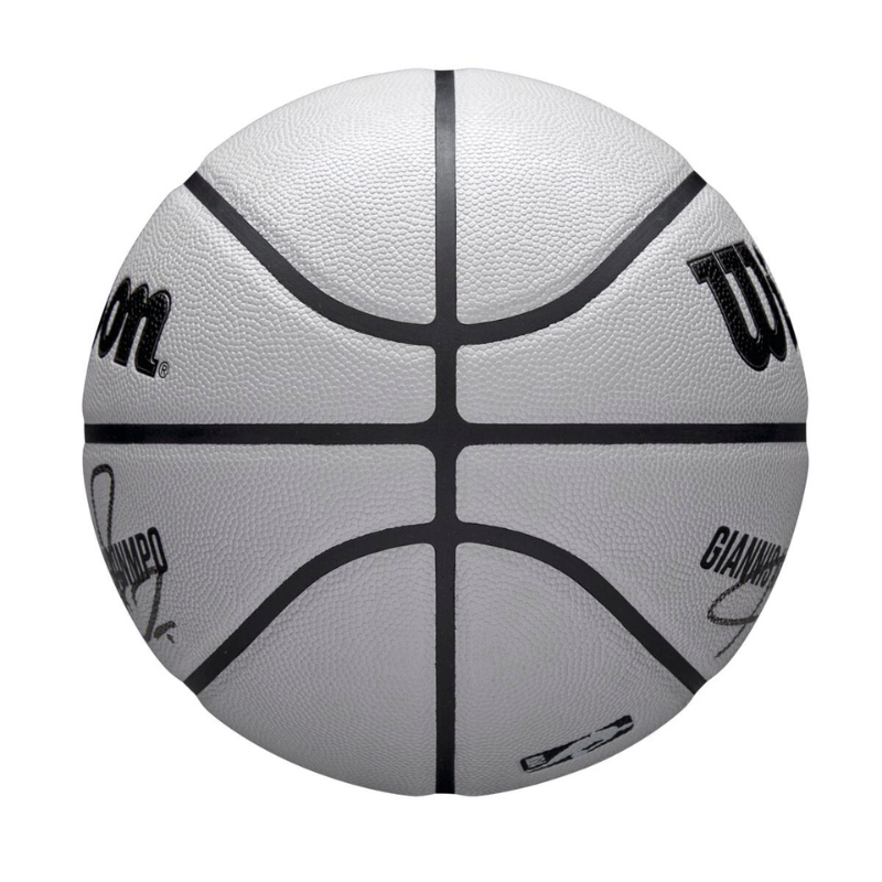 NBA PLAYER ICON UV BSKT GIANNIS 7