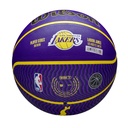NBA PLAYER ICON OUTDOOR BSKT LEBRON NE 7