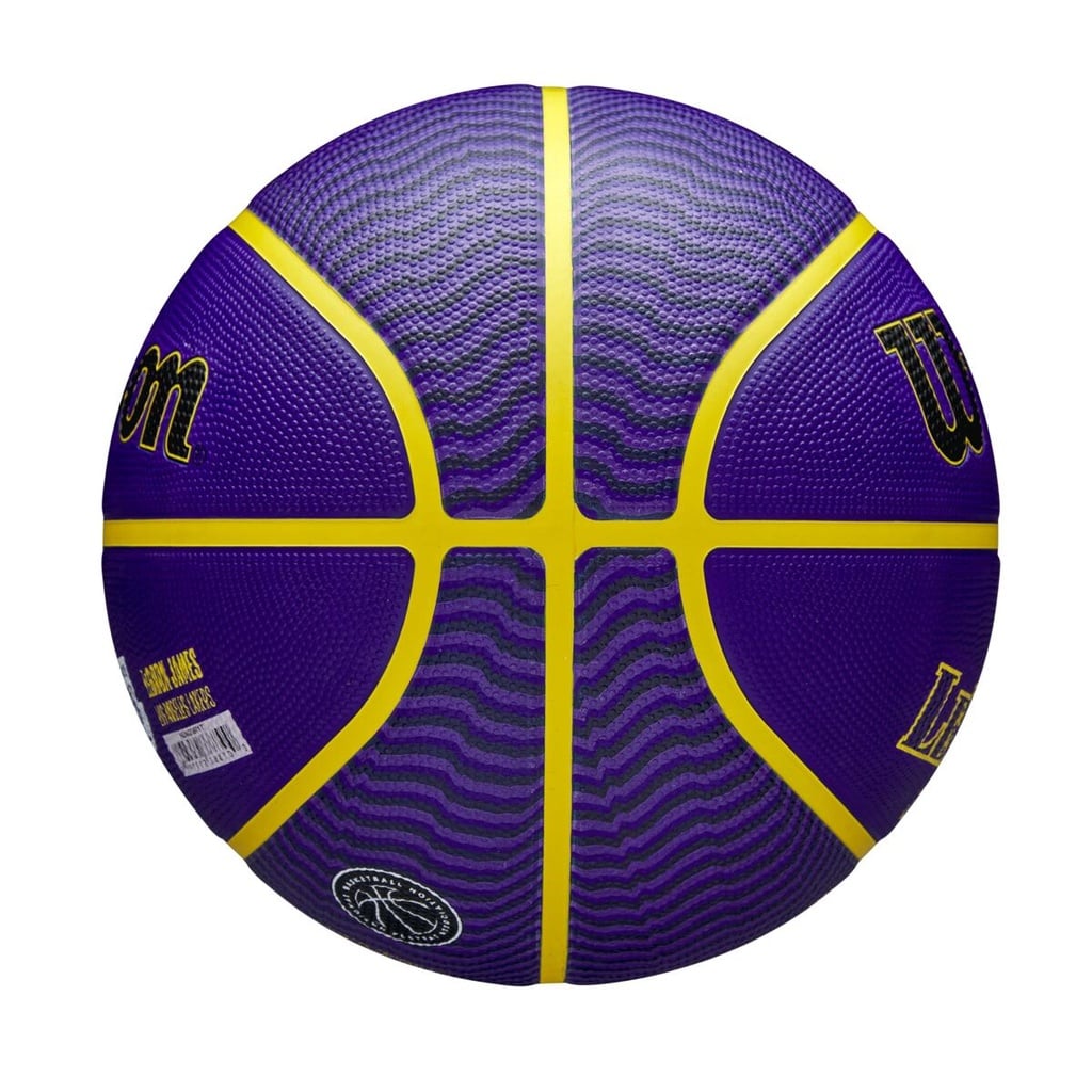 NBA PLAYER ICON OUTDOOR BSKT LEBRON NE 7