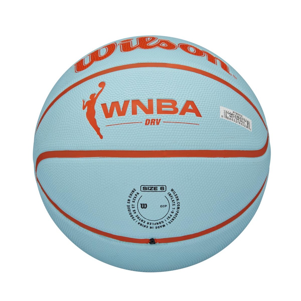 WNBA DRV BSKT TEOR SZ6