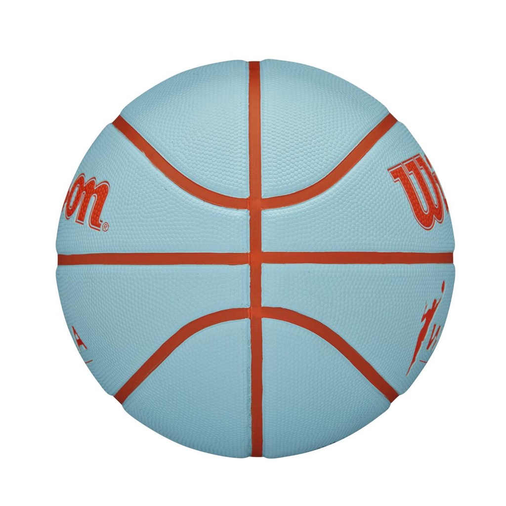 WNBA DRV BSKT TEOR SZ6