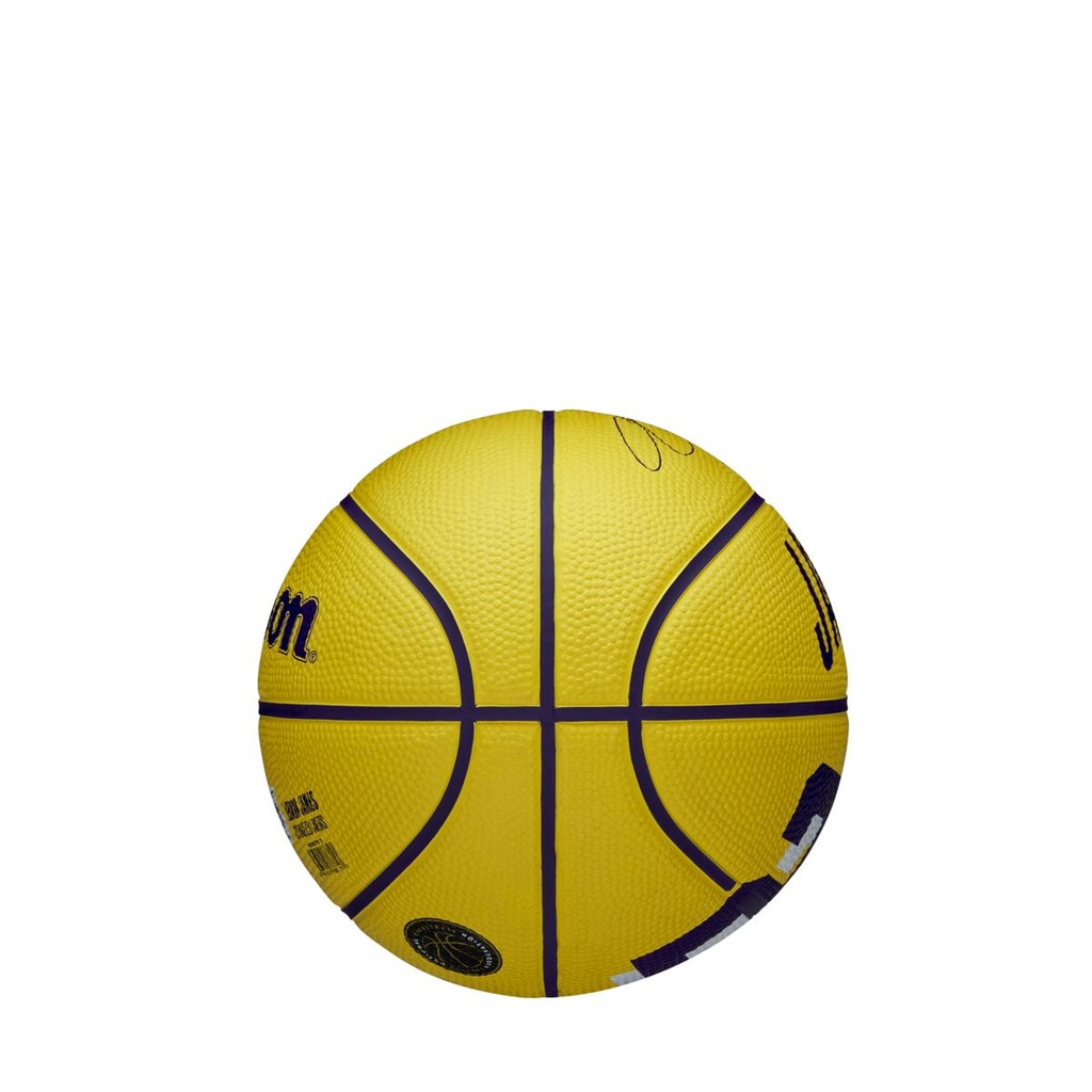 NBA PLAYER ICON MINI BSKT LEBRON NEW 3