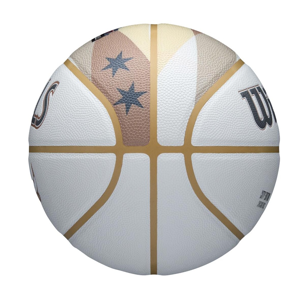 2024 NBA TEAM CITY COLLECTOR CHI BULL 7