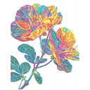 DIAMOND DOTZ NEON FLORAL