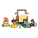 LEGO FRIENDS - FRIENDSHIP MOVIE NIGHT