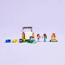 LEGO FRIENDS - FRIENDSHIP MOVIE NIGHT