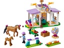 LEGO FRIENDS - HORSE TRAINING