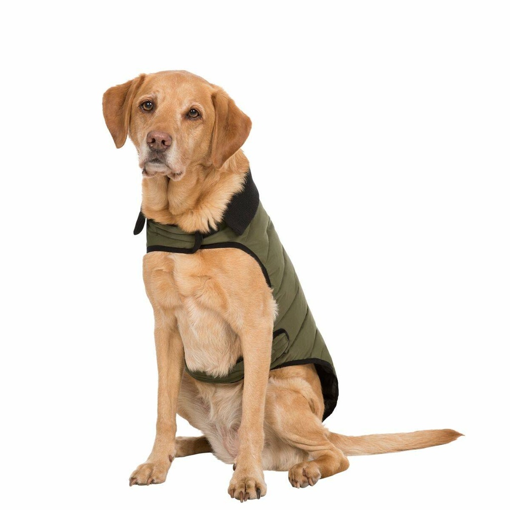 LLOYD - DOG PUFFER JKT TP75