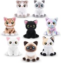 PETS ALIVE SMITTEN KITTENS