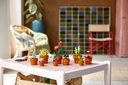 LEGO ICONS - TINY PLANTS NEW
