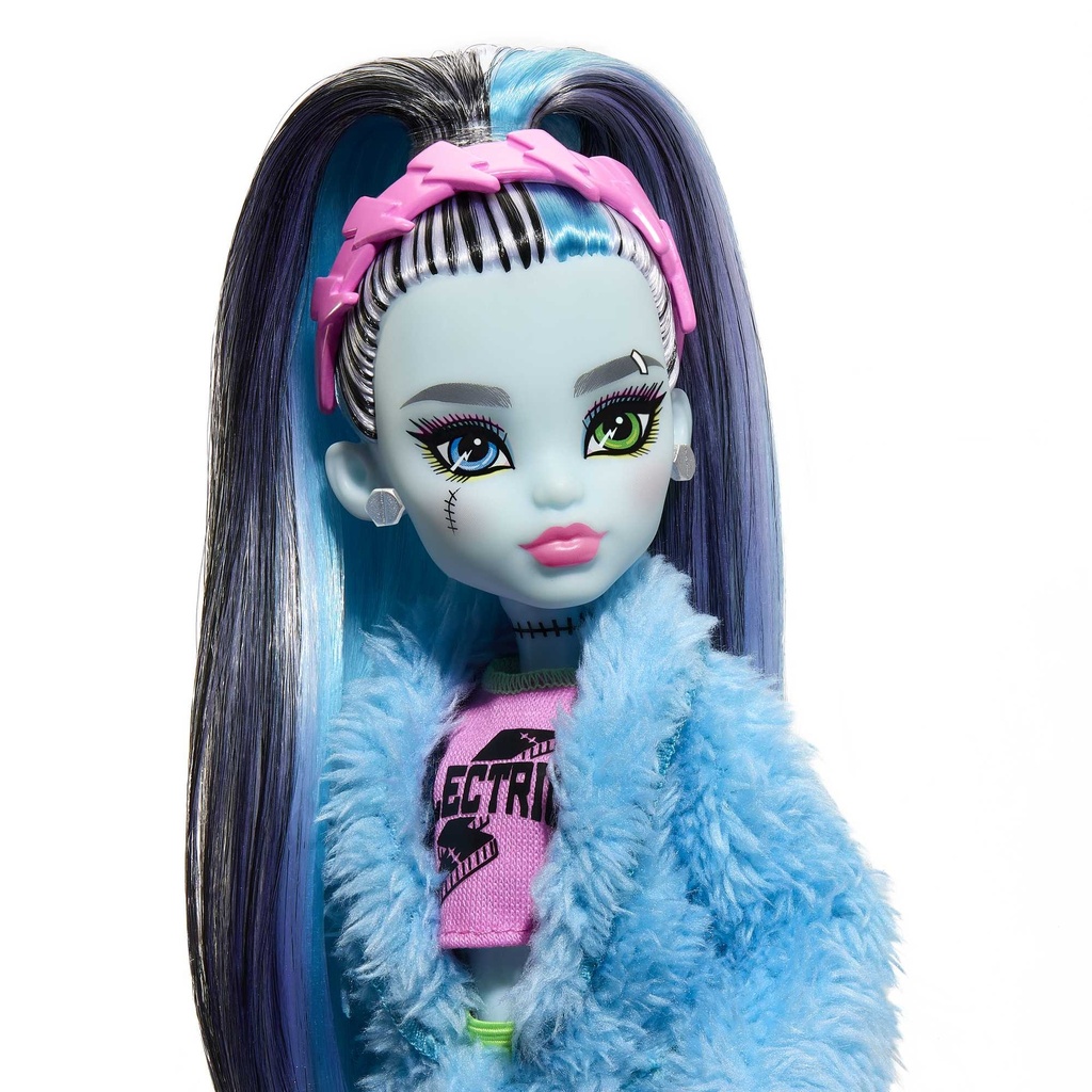 MONSTER HIGH - CREEPOVER FRANKIE