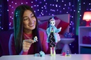 MONSTER HIGH - CREEPOVER FRANKIE