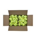 TRINITI CLUB TBALL 72 BALL BOX