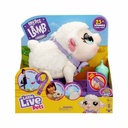 LITTLE LIVE PETS ΦΡΑΝΚΙ ΤΟ ΑΡΝΑΚΙ ΗΛ. PET