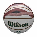 2023 NBA TEAM CITY COLLECTOR  BOS CELT
7