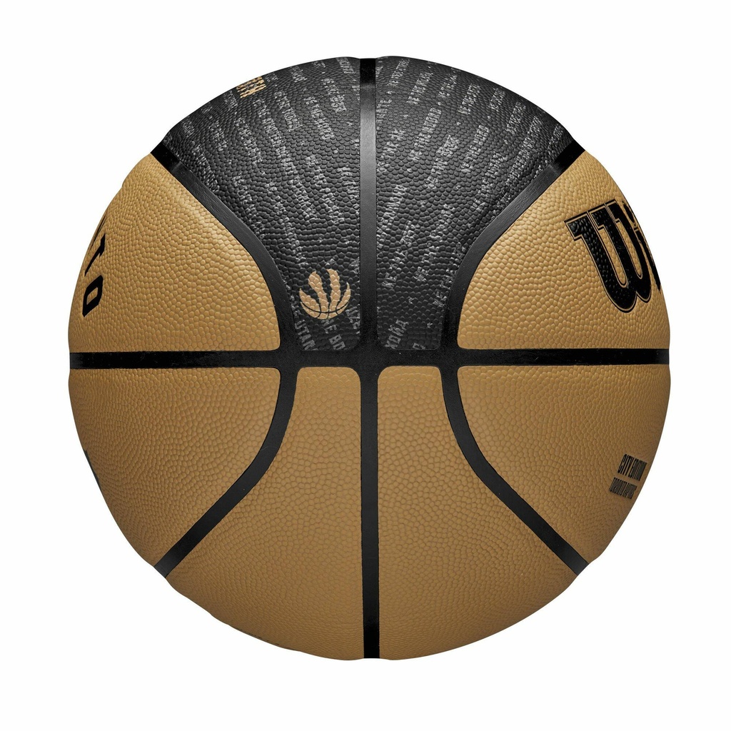 2023 NBA TEAM CITY COLLECTOR  TOR RAPT
7