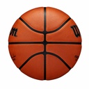 NBA AUTHENTIC SERIES OUTDOOR BSKT