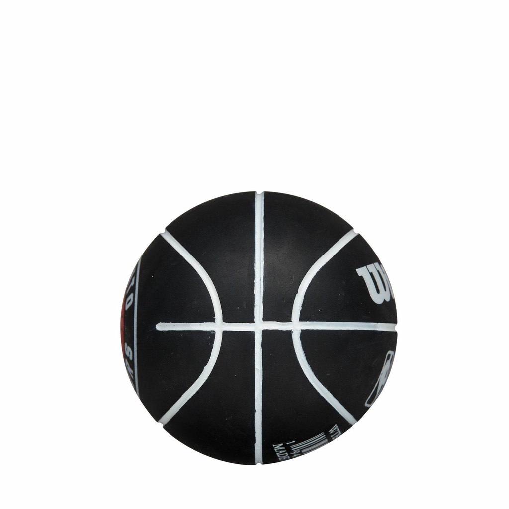 NBA DRIBBLER BSKT TOR RAPTORS