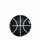 NBA DRIBBLER BSKT TOR RAPTORS