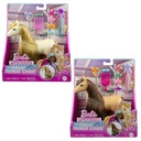 BARBIE PONY (2 SXEDIA)