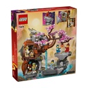 LEGO NINJAGO - DRAGON STONE SHRINE