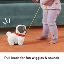 FP SYROMENO SKYLAKI PUG