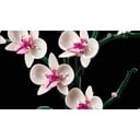LEGO ICONS - EXPERT ORCHID