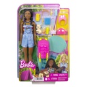 BARBIE BROOKLYN CAMPING