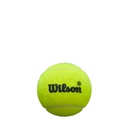 PREMIER PADEL SPEED 3 BALL CAN Yellow