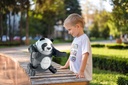 ROBO PANDA - SCIENCE & PLAY