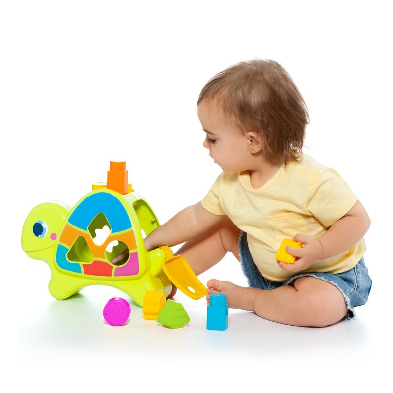 MOLTO ACTIVITY TURTLE