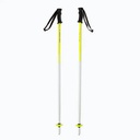 SUPERSHAPE TEAM POLES