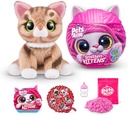 PETS ALIVE SMITTEN KITTENS