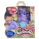 CURLIMALS 5''INTERACTIVE PLUSH - HIGGLE THE HEDGEHOG WITH OVER 50 SOUNDS