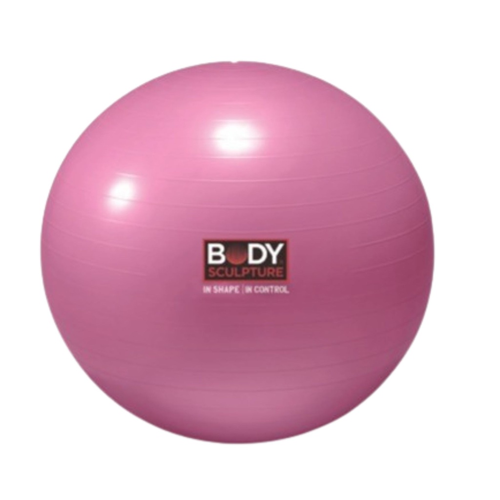 ANTI-BURST  GYM BALL 55cm