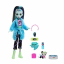 MONSTER HIGH - CREEPOVER FRANKIE