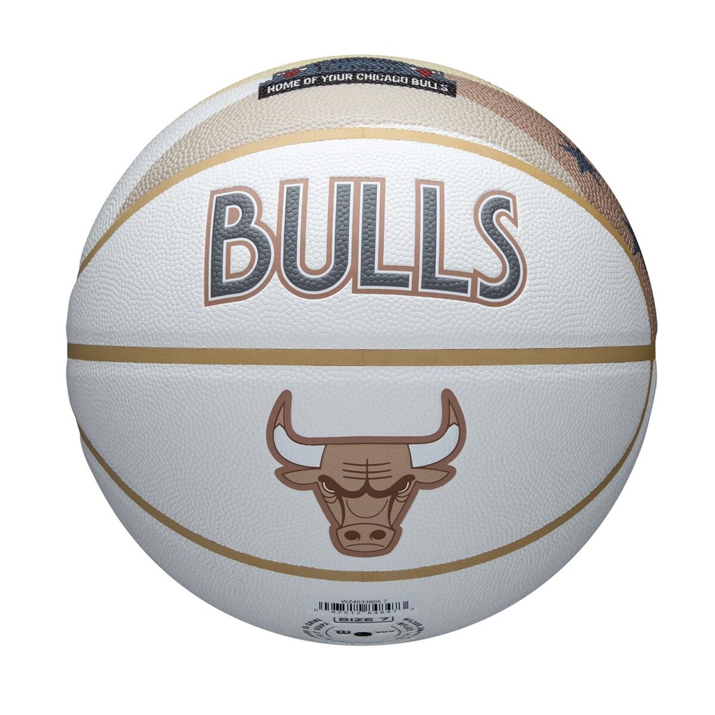 2024 NBA TEAM CITY COLLECTOR CHI BULL 7