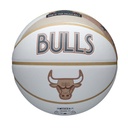 2024 NBA TEAM CITY COLLECTOR CHI BULL 7