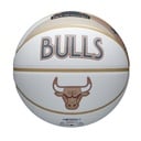 2024 NBA TEAM CITY COLLECTOR CHI BULL 7