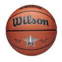 2025 NBA ALL STAR REPLICA BSKT 7