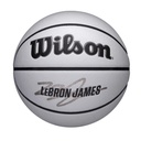 NBA PLAYER ICON UV BSKT LEBRON 7