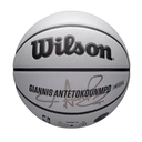 NBA PLAYER ICON UV BSKT GIANNIS 7