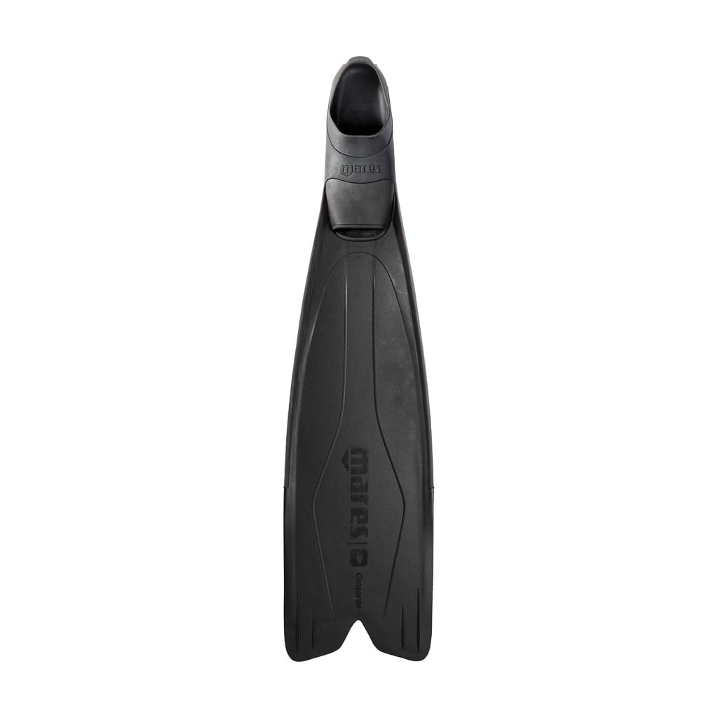 CONCORDE FINS