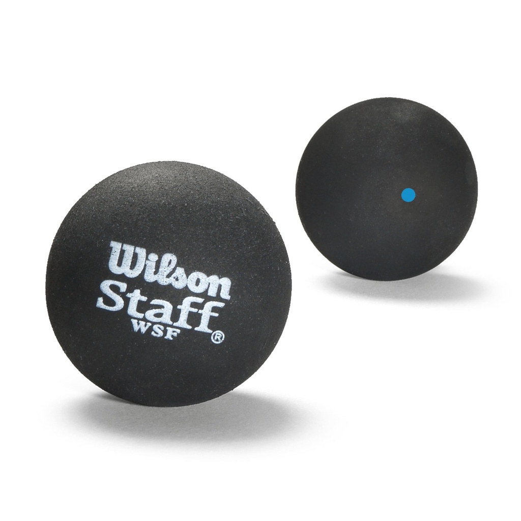 STAFF SQUASH 2 BALL BL DOT
