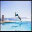 Diving & Swimming