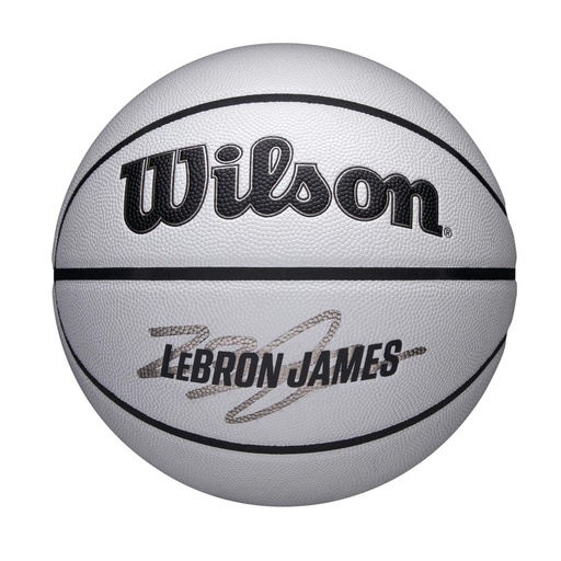 [WILWZ4030501XB7] NBA PLAYER ICON UV BSKT LEBRON 7